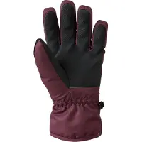 Dare 2b Kinder/Kinder Glacier Winterhandschoenen (Afb.)