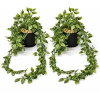 Hemo Kunst Hangplant met Zwarte Pot en Kleine Steentjes – 80 cm – Set van 2 – Realistische Nep Hangplanten voor Binnen