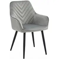 Leobert Chaise - - Nana - Fluweel, grijs/zilverkleurig, met zwarte poten