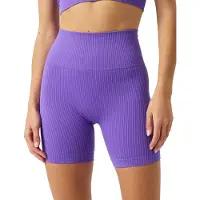 Björn Borg Studio Seamless Ribbed Shorts Paars | Maat: L