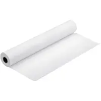 Epson S045275 Bond Paper White Roll 914 mm x 50 m (80 g/m2)
