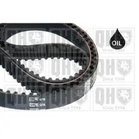 Quinton Hazell QTB828 Distributieriem