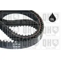 Quinton Hazell QTB821 Distributieriem