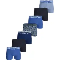Björn Borg Boxershorts gemengde kleuren