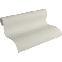 A.S. Création Vliesbehang Terra Tapete Einfarbig (1 stuk)