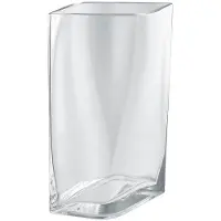 Blomus Vaas Duasis Clear M