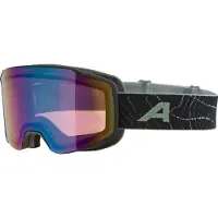 Alpina Skibril Taos Q Black/Willow/Green Matt