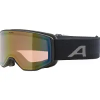 Alpina Skibril Venet Q Black Matt