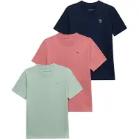 Abercrombie & Fitch Shirt navy / pastelgroen / lichtrood