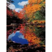 Ravensburger Canada - Indian Summer