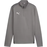Puma Functioneel shirt 'Team Goal' grijs