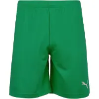 Puma Sportbroek 'TeamRise' groen / wit