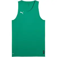 Puma Functioneel shirt 'Teamjaws Starter' groen / wit