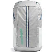 Patagonia Black Hole Pack 25L birch white schooltas
