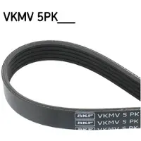 Skf VKMV 5PK1230 Multiriem