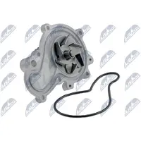 NTY CPW-CH-015 Waterpomp