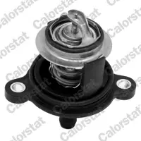 CALORSTAT by Vernet TH7334.50J Thermostaat, koelvloeistof