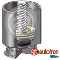 AUTOFREN SEINSA Zuiger, remklauw D025222K
