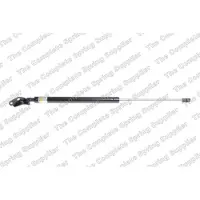LESJÖFORS 8155451 Gasveer achterklep