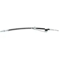 VAICO V25-0305 Remslang