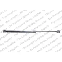 LESJÖFORS 8156832 Gasveer achterklep