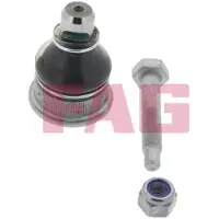 Fag Fuseekogel 825 0188 10