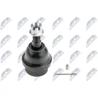 NTY Fuseekogel ZSD-CH-011