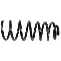 SACHS Spiraalveer 994 175