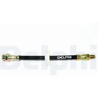 Delphi Remslang LH0389