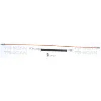 TRISCAN 8150 29235 Remslang