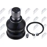NTY Fuseekogel ZSD-FR-009