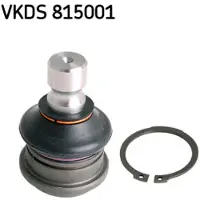 Skf VKDS 815001 Fuseekogel