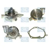 Saleri SIL PA445P Waterpomp