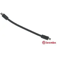 Brembo Remslang T 85 134