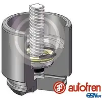 AUTOFREN SEINSA D025691LK Zuiger, remklauw