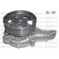 DOLZ Waterpomp V208