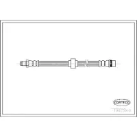 CORTECO 19025910 Remslang