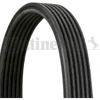 CONTITECH Multiriem 6DPK1195 Contitech voor o.a. AUDI, FORD, SEAT, SKODA, VOLKSWAGEN