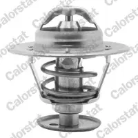 CALORSTAT by Vernet TH5981.89J Thermostaat, koelvloeistof