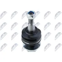 NTY Fuseekogel ZSD-BM-010