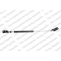 LESJÖFORS 8155433 Gasveer achterklep