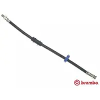 Brembo Remslang T 23 151