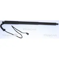 TRISCAN Gasveer, bagageruimte 8710 11305