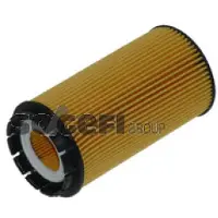 FRAM Oliefilter CH9685ECO