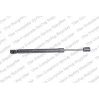 LESJÖFORS Gasveer, bagageruimte 8104267