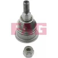 Schaeffler FAG 825 0164 10 Fuseekogel