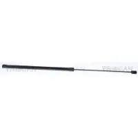 TRISCAN Gasveer, motorkap 8710 29153