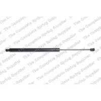 LESJÖFORS Gasveer kofferbak/laadruimte 8127590