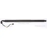 TRISCAN 8710 29308 Gasveer achterklep