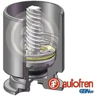 AUTOFREN SEINSA Zuiger, remklauw D025777LK